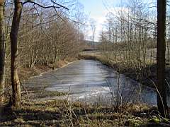 050129-Kvarnfallet 018.jpg